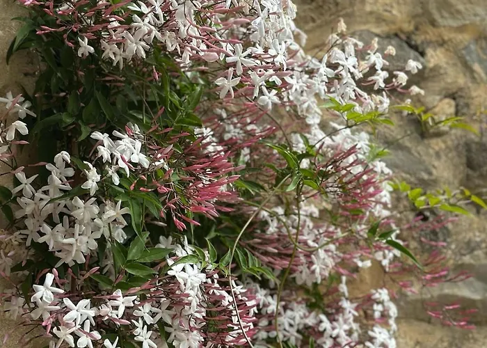 Cevennes With Pool 펜션 Monteils (Gard)